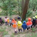 매화숲유치원 이미지