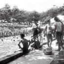 파라다이스 수영장 이미지