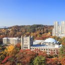 경희 이미지