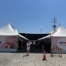 남산1리마을회관 | [영덕] 영덕 복숭아 축제 두군데 다 가 본 이야기