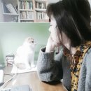 꼬모 이미지