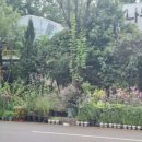 석대천로 이미지