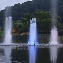 보라매 행정사 이미지