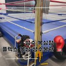 플렉스 복싱 킥복싱 이미지
