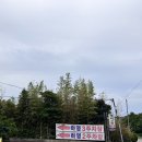 서귀포 중문 흑돼지맛집 도민 추천 하영 흑돼지구이집 내돈내산 후기