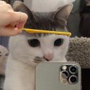 승주헤어 | 노원 칠링헤어 승주디자이너쌤 내돈내산리뷰 ^0^