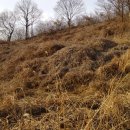 성미산성 이미지