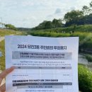당진3동 이팝나무 | 당진 이팝나무길 걷기행사 혼자 다녀오기