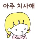 댕댕이꺼 네이버블로그