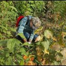 하늘농원 이미지