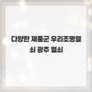 삼성열쇠조명 이미지