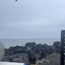 내도동 방사탑 이미지