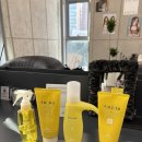 수정수진2-D-1 | [서울/강남] 신논현미용실 어몽헤어 신논현점 오주아클리닉 후기(feat,정수진 디자이너)