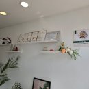 고프로뷰티 이미지