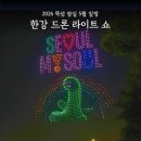 도장명당 | 한강 드론 라이트 쇼 2026 뚝섬 잠실 5월 일정 지정좌석 명당 꿀팁 후기