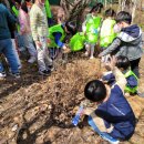 안현초등학교 이미지