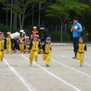서라벌초등학교 이미지