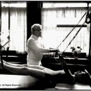 필리스 핏 이미지