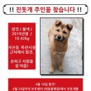 목련동물병원 이미지