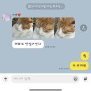 가자 현준네 집 | 나의 일상 8탄_별거 없는 그냥 일상