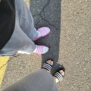 카페0312 티스토리