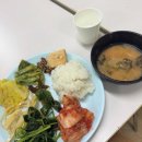 수진사 | 수진사 템플스테이 후기