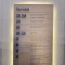 코리아나 | 광화문 호캉스 코리아나호텔 패밀리 벙크 객실 조식 후기