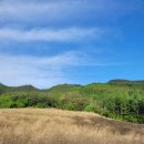 검단출장소(3) 이미지