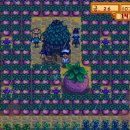 차덕수농장 이미지