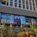 밀론부티크 미사 이미지