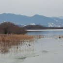 강변에서 이미지