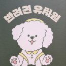 댕그레 이미지