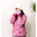 N106 이미지