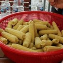 팔봉청삼골 돌배마을 이미지