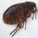 청림기획 이미지