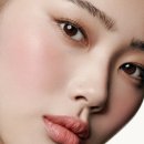 립통디자인 | [샤넬] 헬시핑크 레드 까멜리아 립 앤 치크 밤 솔직후기｜몇통째 쓰는 인생템♥