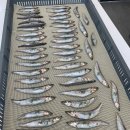 멍멍제과 이미지