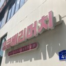 보리베리 이미지