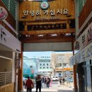 힐링알토스 협동조합 | 영월 봄 축제 1박2일 여행 코스 추천! 가족과 함께 힐링 체험 가득한 주말 나들이