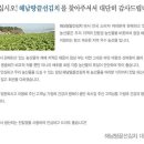 해남 땅끝 선김치 이미지
