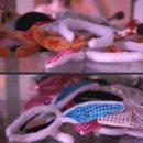 크루즈노래연습장 이미지