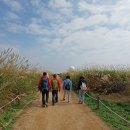 하늘공원 이미지