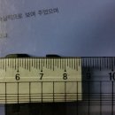 신성총포사 이미지