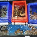 청춘수산 이미지