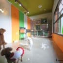 하모니 동물병원 이미지