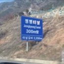 신축 오피스텔 세스코 방문 후기 (먼지다듬이, 좀벌레, 책벌레)