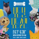 모든날 이미지