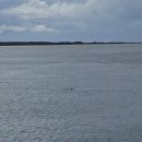 수빈농장 | 호주 여행_골드코스트,시드니