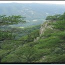 라온제나산악회 8월 정기산행(문경 도장산 쌍용계곡) 이미지