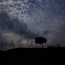 당포의아침 이미지